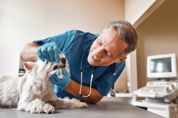 Best Weekend Emergency Dentist in Stateburg, SC